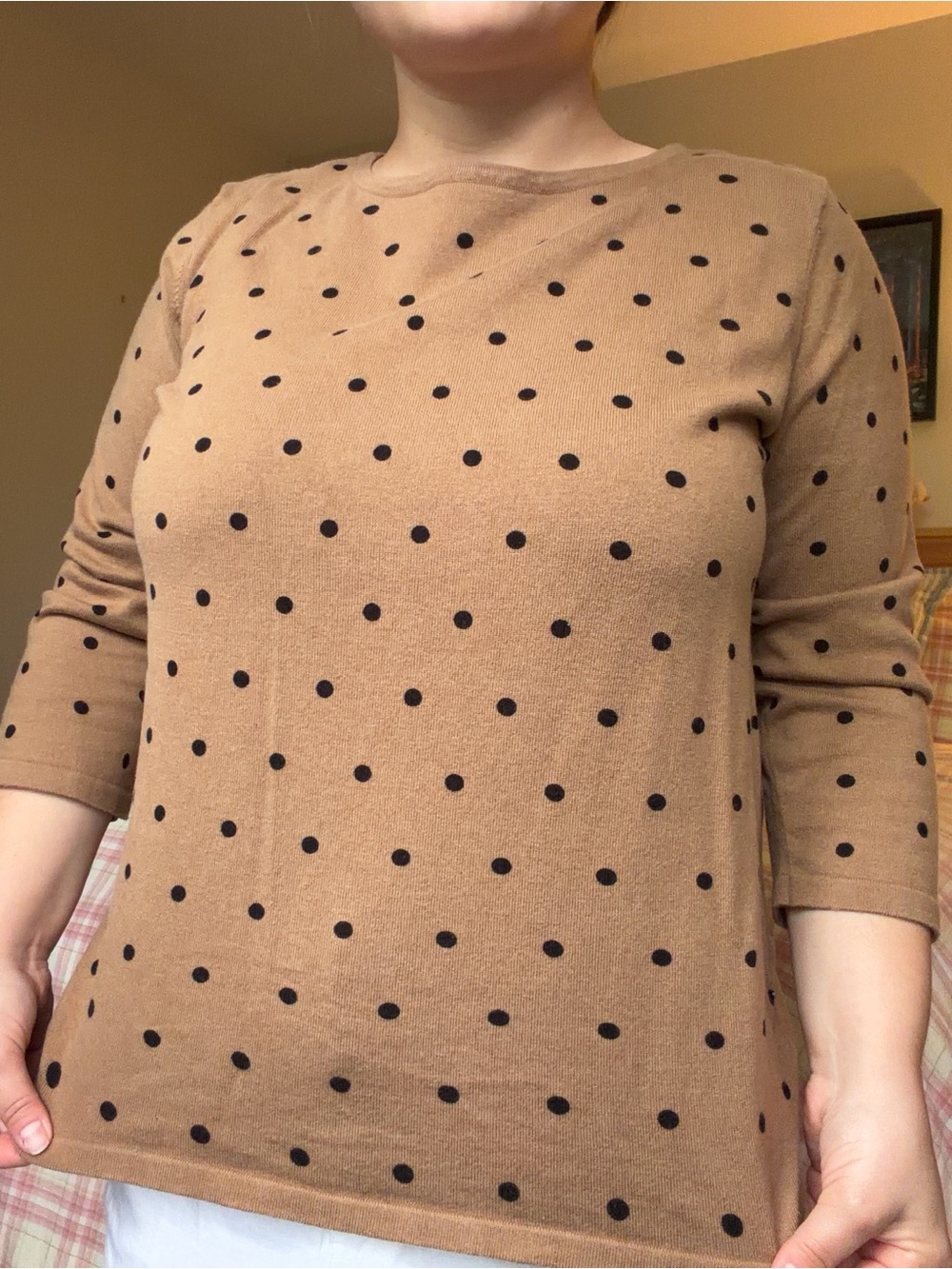 Karen Scott Brown 3/4 Sleeve Top with Polka Dots